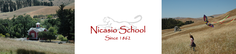 Nicasio School Spirit Gear Custom Shirts & Apparel